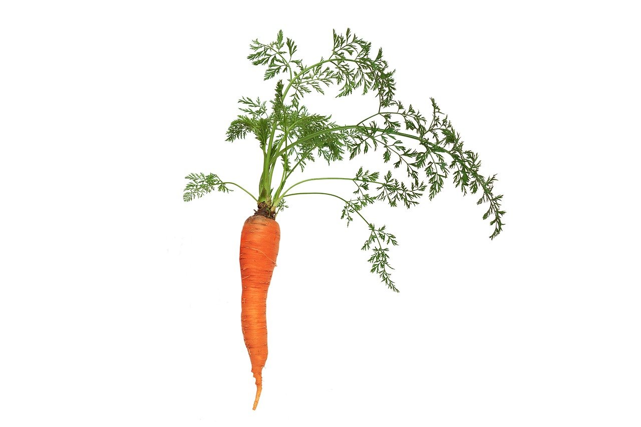 Apéro carotte